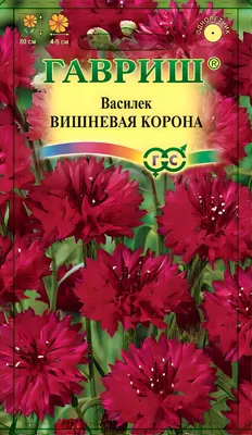 Василек Волшебный аромат мускусный (0,1 г)