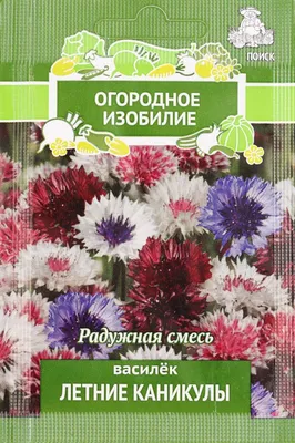 Лаватера, Васильки однолетние ПОИСК Агрохолдинг semena10 - купить по  выгодным ценам в интернет-магазине OZON (892727068)