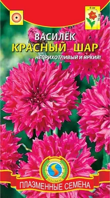 Навигатор 63 | Северо-запад России.Июль.Бодяк обыкновенный.Василёк розовый.Навигатор  63. | Дзен