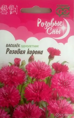 Василек луговой, василек розовый, сушеные цветы, 10 гр купить в  интернет-магазине Ярмарка Мастеров по цене 40 ₽ – QPEFMBY | Растения, Липин  Бор - доставка по России