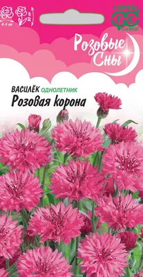 Семена Василек Розовая корона, 0,2 г серия Розовые сны Гавриш купить по  низкой цене в интернет-магазине - Интернет-магазин «СЕМЕНА ТУТ»