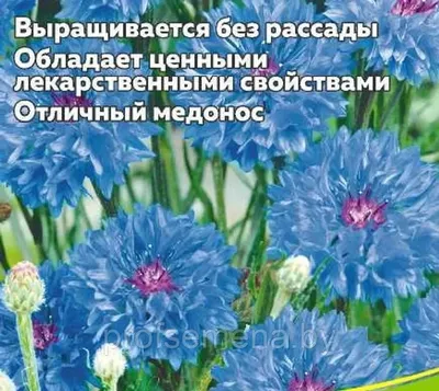 Василек многолетний Фаворит 0,1 г Удачные семена купить недорого в  интернет-магазине товаров для сада Бауцентр