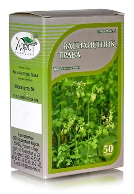 Василистники : Thalictrum delavayi Album-Василистник делавея Album