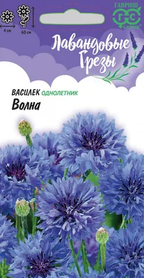 Flowering Искусственное растение / Искусственные цветы / Васильки/