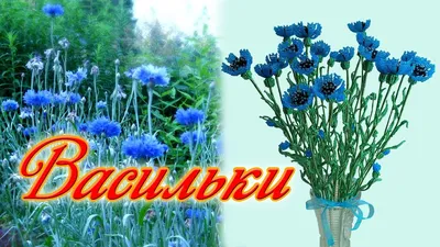 Колье \"Полянка\"💐. Урок 3. Васильки из бисера 🌸. Мастер-класс | Тканевые  цветы, Бисер, Схемы для бисероплетения