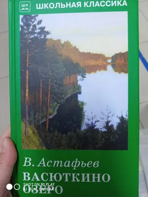 Как найти «Васюткино озеро»? - Gapeenko.net