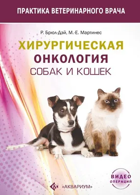 Аллергия на корм у собаки: как проявляется и что делать