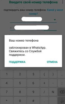 WhatsApp умер по всей стране — не работает вообще ничего