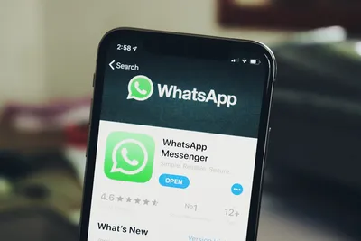 Настройки конфиденциальности WhatsApp | Интернет вопросы