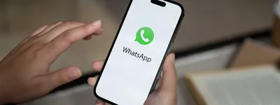 Почему не работает WhatsApp на смартфоне: прекращение работы на старых ОС  Android и iOS с 24 октября