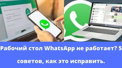 6 настроек WhatsApp, которые надо включить прямо сейчас - Hi-Tech Mail.ru