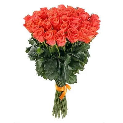 Букет из местных оранжево-розовых роз сорта Вау | купить оранжево-розовые  розы