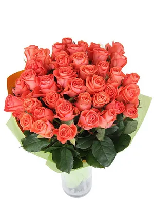 Купить Уральская роза «Вау» 50 см в Екатеринбурге с доставкой