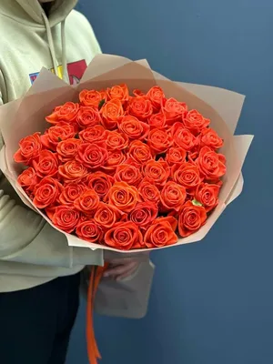 Букет оранжевых роз сорт Вау - купить 101 розу с доставкой по городу Днепр  в ➜ Royal-Flowers