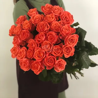 Роза сорта «Вау» (Wow) - 150 руб, купить в Воронеже в магазине «Цветы  Экспресс»