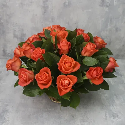 Роза \"Вау\" - цена, купить цветы упаковками с доставкой в Москве - магазин  ПРОСТОЦВЕТЫ
