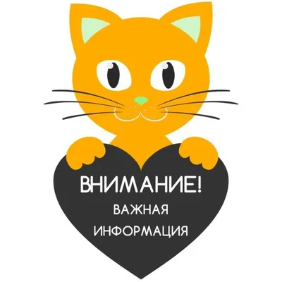 Важная информация об изменениях в порядке проведения конкурсов МАСКТ. –  IDSCA