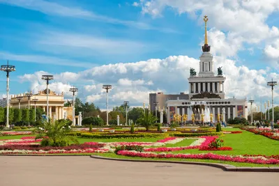Лучшие места на ВДНХ в Москве, куда можно пойти с детьми – cultshow.ru