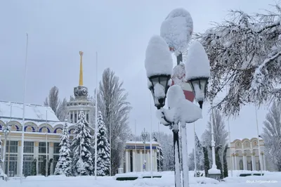 Город зимы» на ВДНХ: тюбинговая горка, керлинг и молодежный каток «Ракета»  - KP.RU