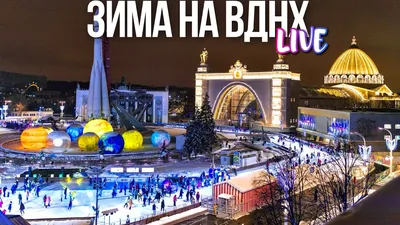 Зима на ВДНХ: что делать на главной выставке страны – The City