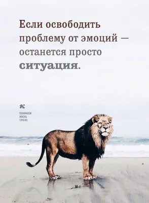 Вдохновляющие цитаты о путешествиях | GQ Россия