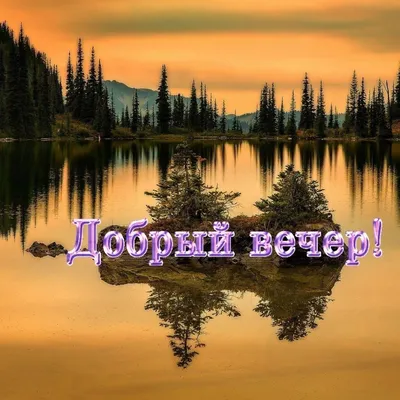 Анализ стихотворения \"Вечер\" А.А. Фета | Надежда Иванова | Дзен