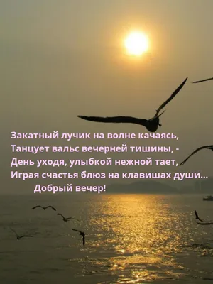 Вечер и утро, Кен Фоллетт – скачать книгу fb2, epub, pdf на ЛитРес