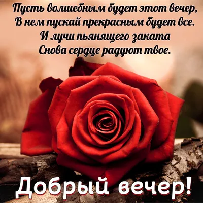 Открытки приятного вечера | Открытки, поздравления и рецепты | Дзен