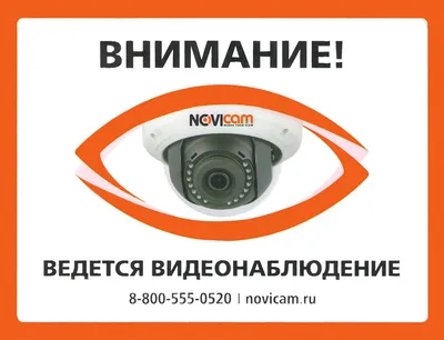 Табличка ВЕДЕТСЯ ВИДЕОНАБЛЮДЕНИЕ (арт. ДЕ2) заказать и купить в Минске по  низким ценам