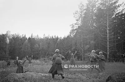 Сборник \"Великая Отечественная война в исторической памяти\"