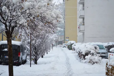 Зима в Вене - vienna.info