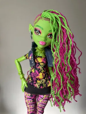 Monster High Doll Ghouls Night Out Venus McFlytrap Dress Bag Earrings  Legwarmers | eBay