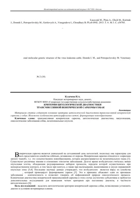 Нужно ли собаке или кошке рожать для здоровья - ветклиника «В Добрые Руки»