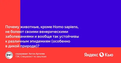 Типичные болезни немецких овчарок: симптомы и лечение