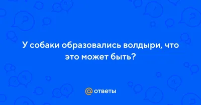 Питбуль Граф на приеме у ветврача. Лучше поздно чем никогда ) Лечим  Графика. - YouTube