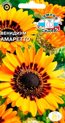 Венидиум смесь 0,4 г (MoravoSeed)