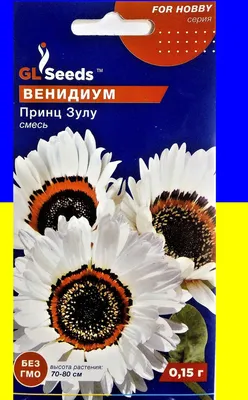 Венидиум игра света