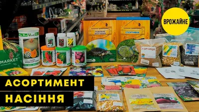 Купить Семена - Венидиум Принц Зулу, смесь, 0,15 г. ❱❱ ТД Дарвин ❰❰❰