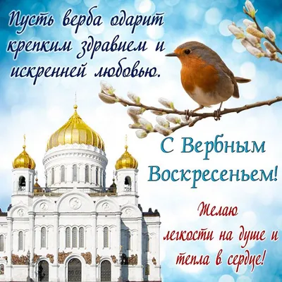 У католиков — Вербное воскресенье. Что можно и нельзя в этот день - Минская  правда