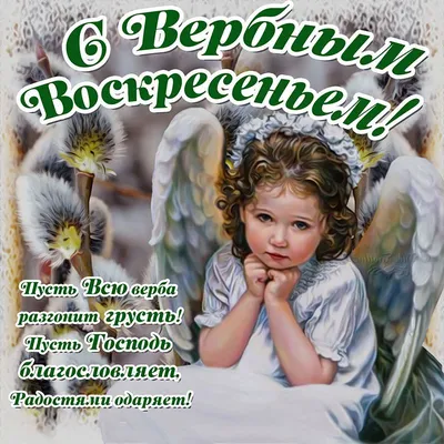 Вербное воскресенье. Ответы на вопросы | ☦️ Священник Антоний Русакевич ✓ |  Дзен