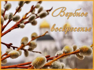 Вербное воскресенье 9 апреля - поздравления, открытки, СМС и стихи к  празднику | Новости РБК Украина