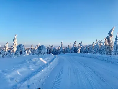 Автоэкспедиция Sakha Arctic Expedition.Верхоянск.