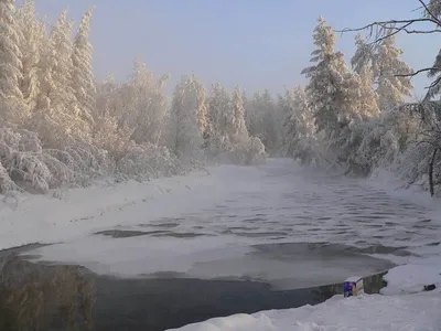 Фишки холода: как выжить в Оймяконе и самых морозных городах мира - РИА  Новости, 12.01.2022