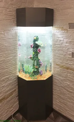 вертикальный угловой аквариум
