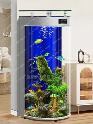 Новый полукруговой напольный аквариум для рыб в гостиную, маленький  вертикальный рыболовный шар, домашний Интеллектуальный экологический  аквариум для замены воды | AliExpress