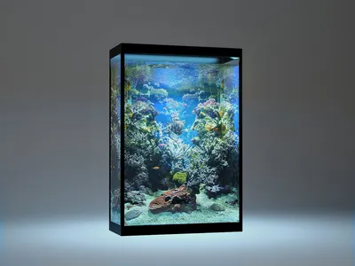Вертикальный восьмигранный аквариум 130 литров с тумбой - YouTube