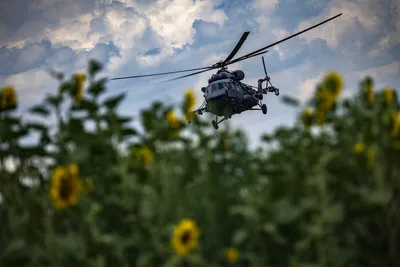 На «Армии-2023» показали новые вертолеты России: фото Ка-52, Ми-28 и других  - NEWS.ru — 15.08.23