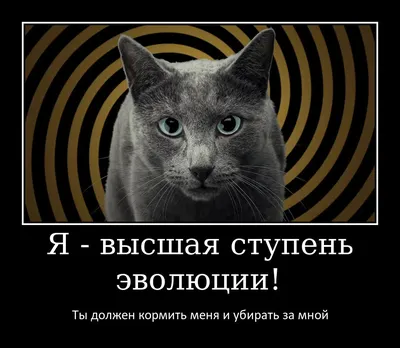 Веселая пятница! - Караоке-клуб «Каштан»