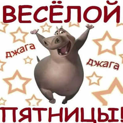 Веселой пятницы ⋆ Открытки анимация | Открытки, Анимация, Весело