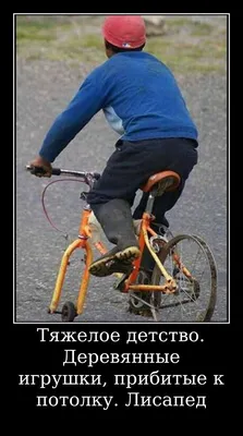 Веселая пятница: В Америке родилась миниатюрная корова